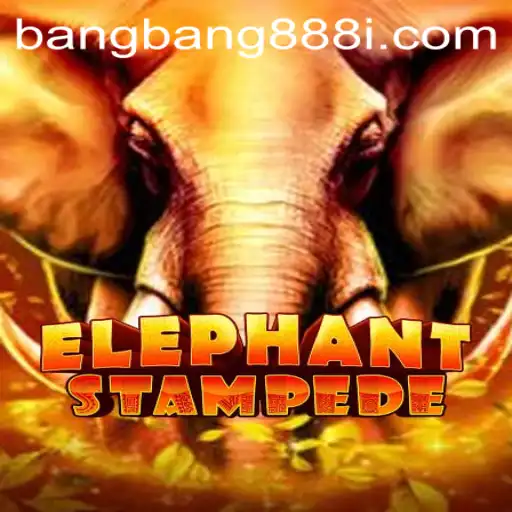 ElephantStampede: A Thrilling Adventure with Bangbang888