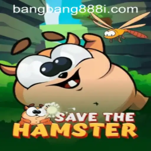 Unveiling the Fun and Adventure of 